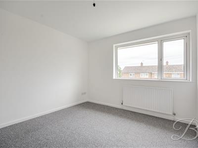 Picture 24
